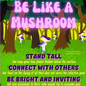 Meet your Posher, Gunther